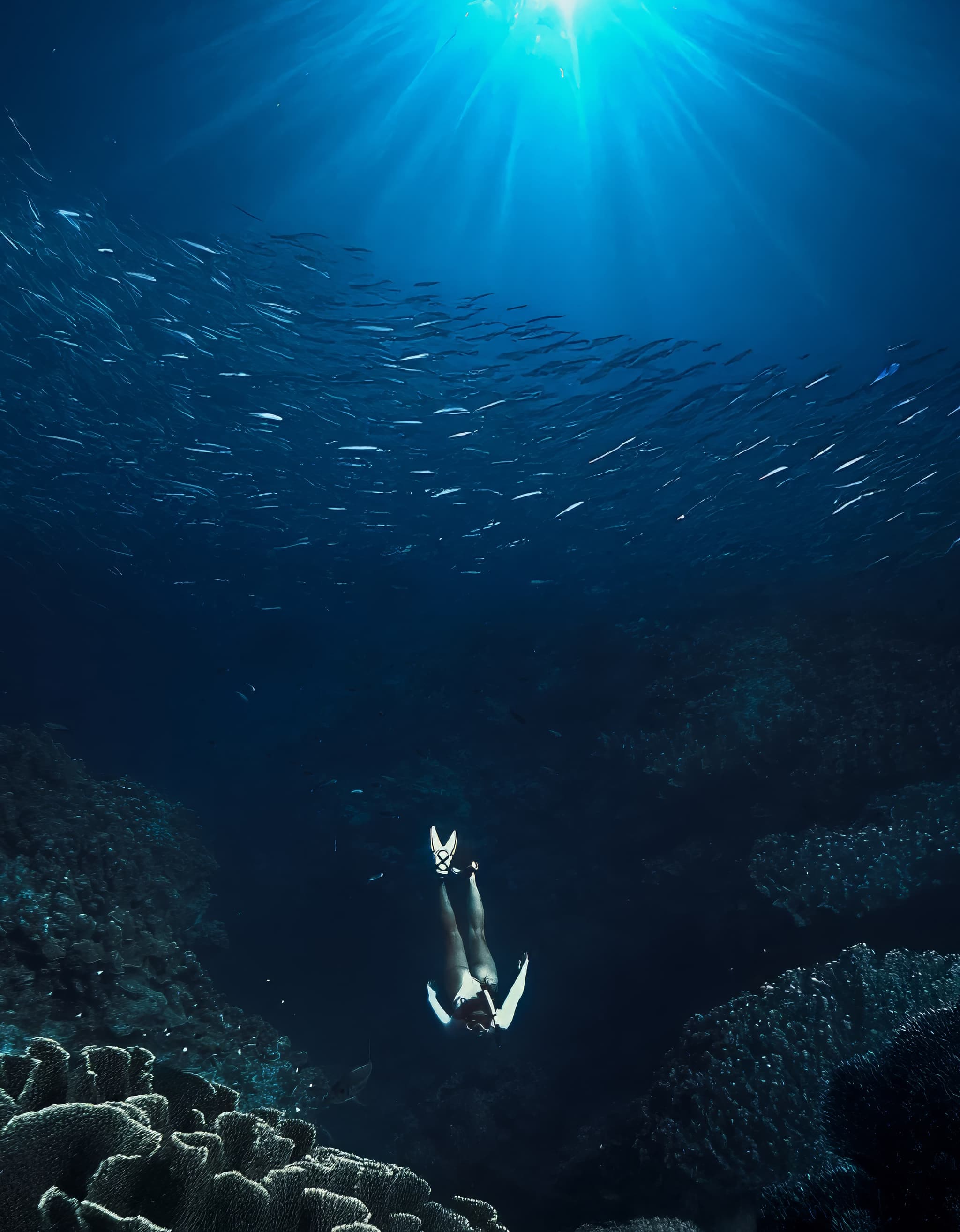 Snorkeler swimming above vibrant coral reef with tropical fish